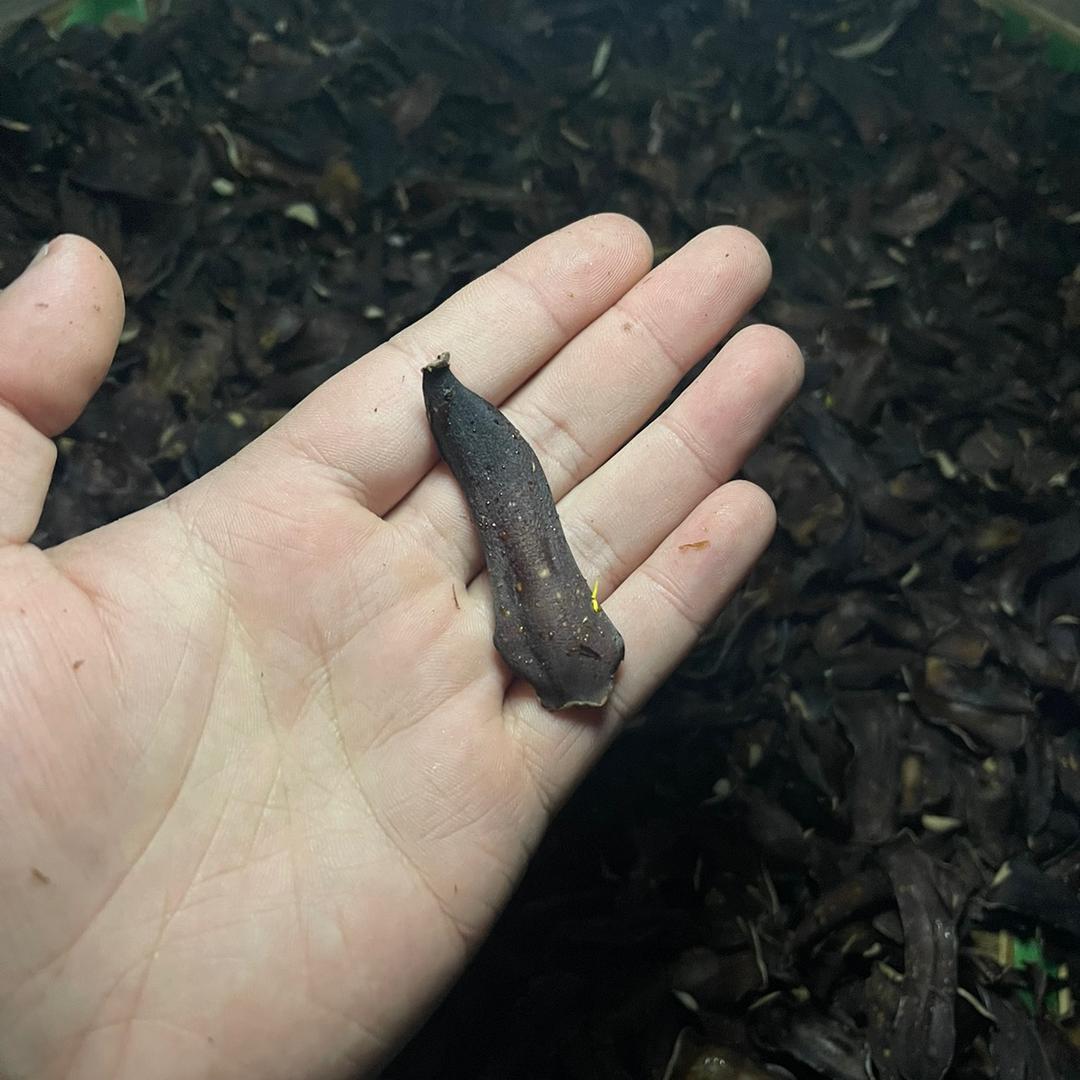 滇陲家乡的土特产