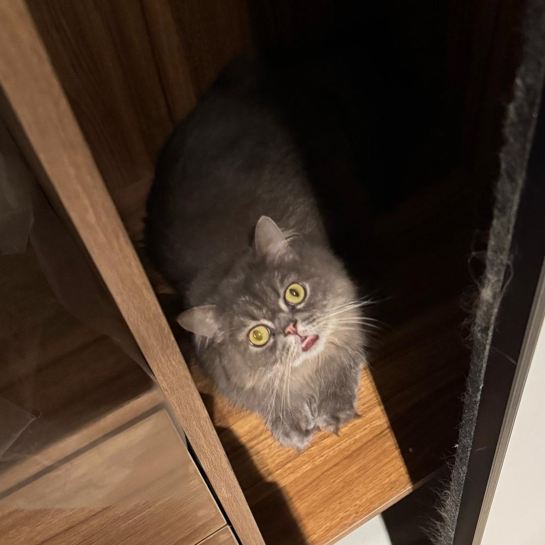 小米之家主理人