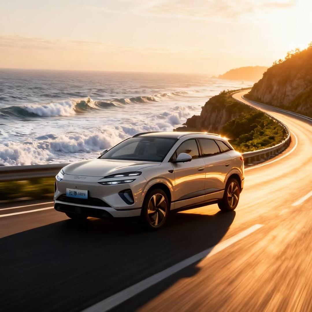 比亚迪海洋网喀什通工绿迪店