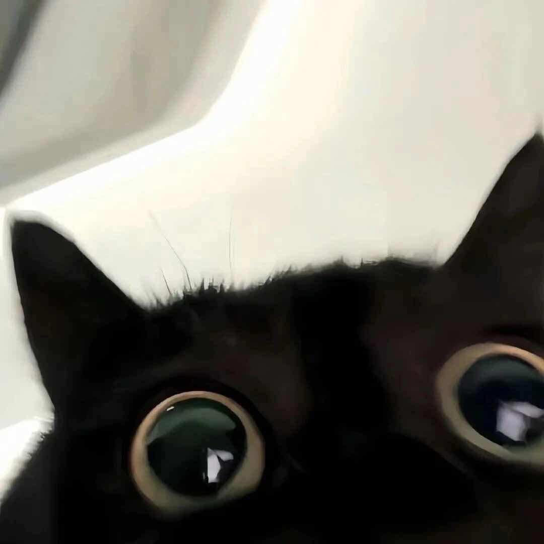 荼荼
