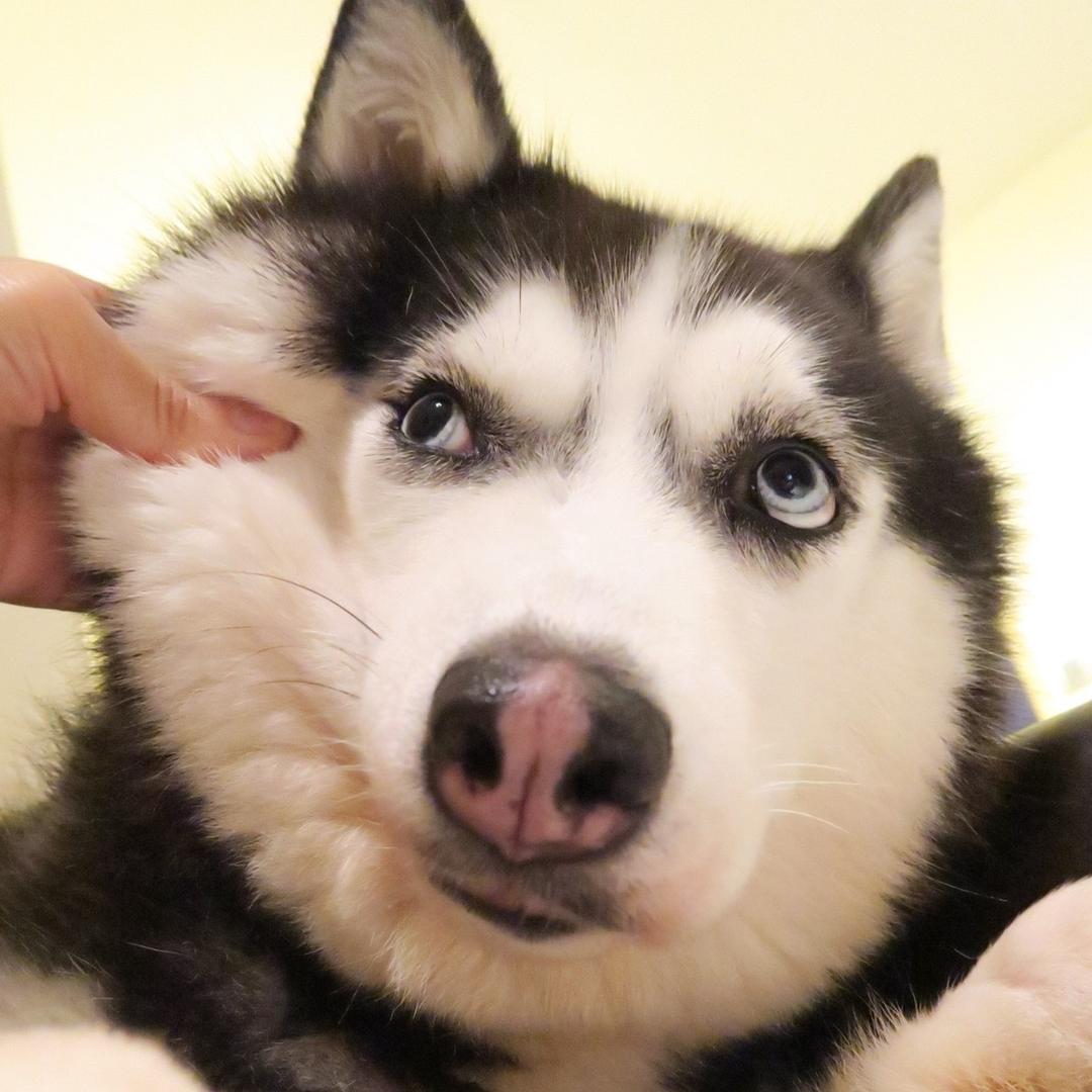 我也没想到我的名字会这么长都到头了