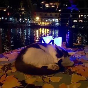 漫展保安，保卫一方平安，爱吃小熊饼干