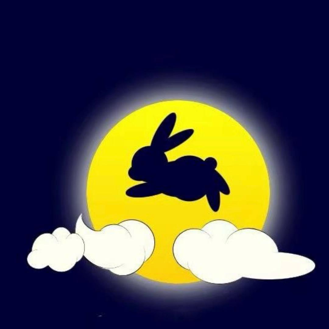 白袍方程式