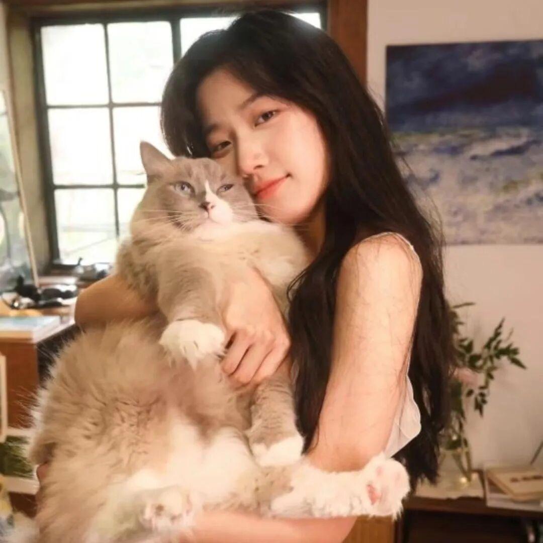 鱼头_