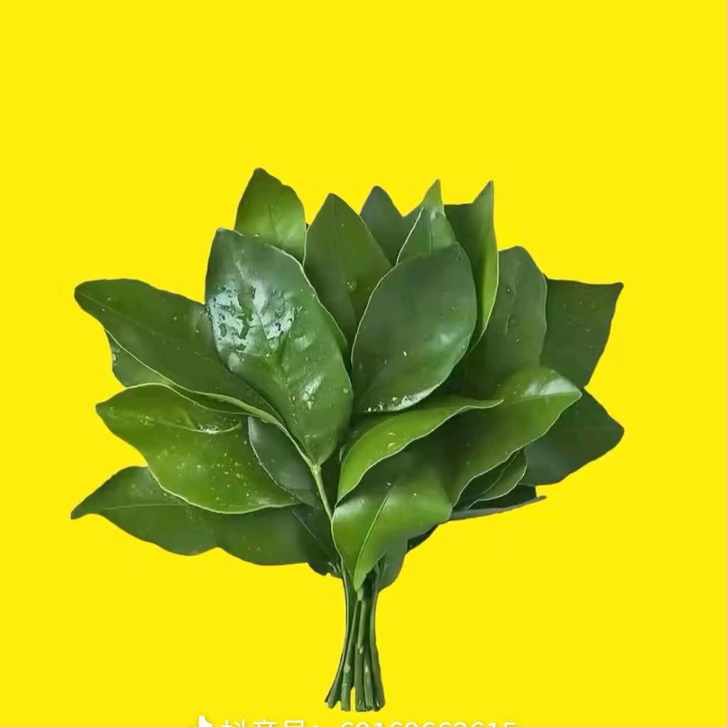 志和宠物之家