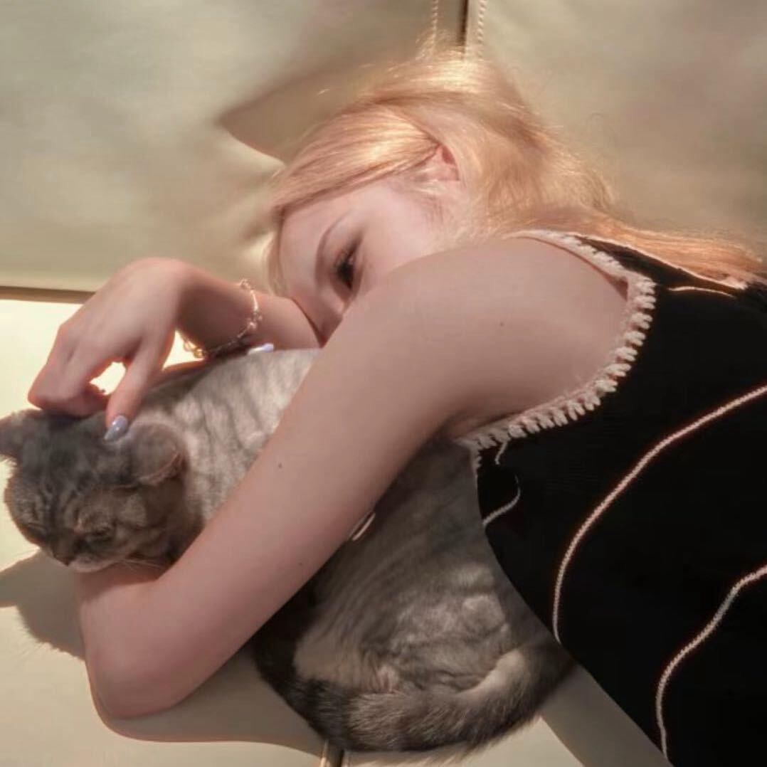 ㅤ  ㅤ. ㅤ  ㅤㅤㅤ