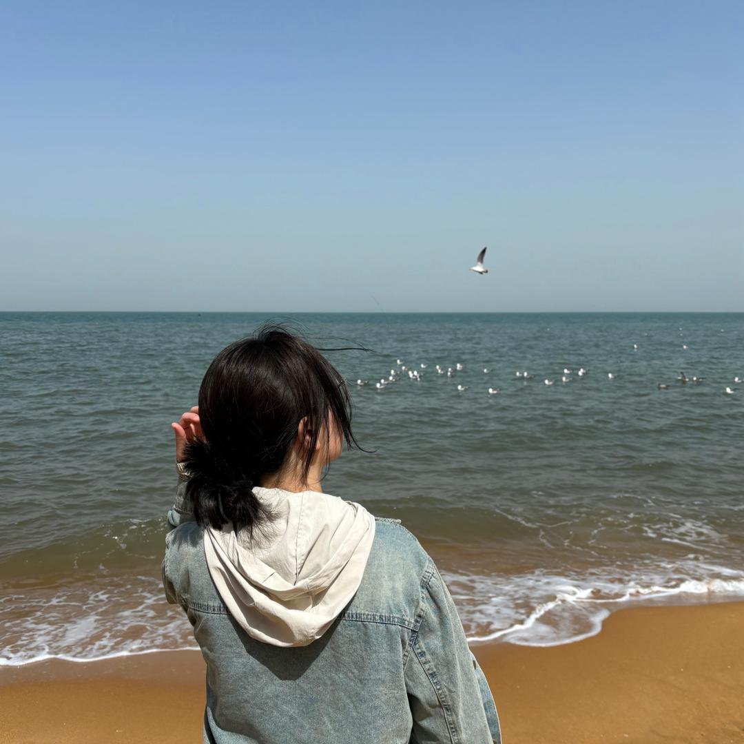 布布鲁