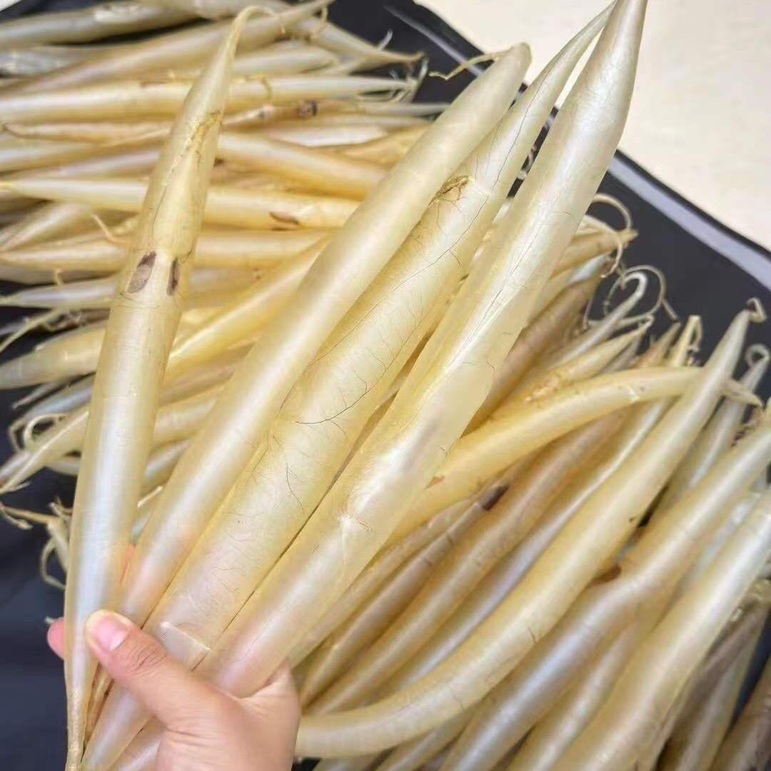 鳗鱼胶一手货源批发