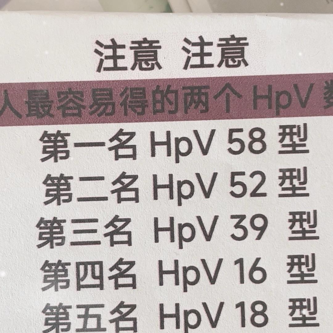 文主任助理刘柳