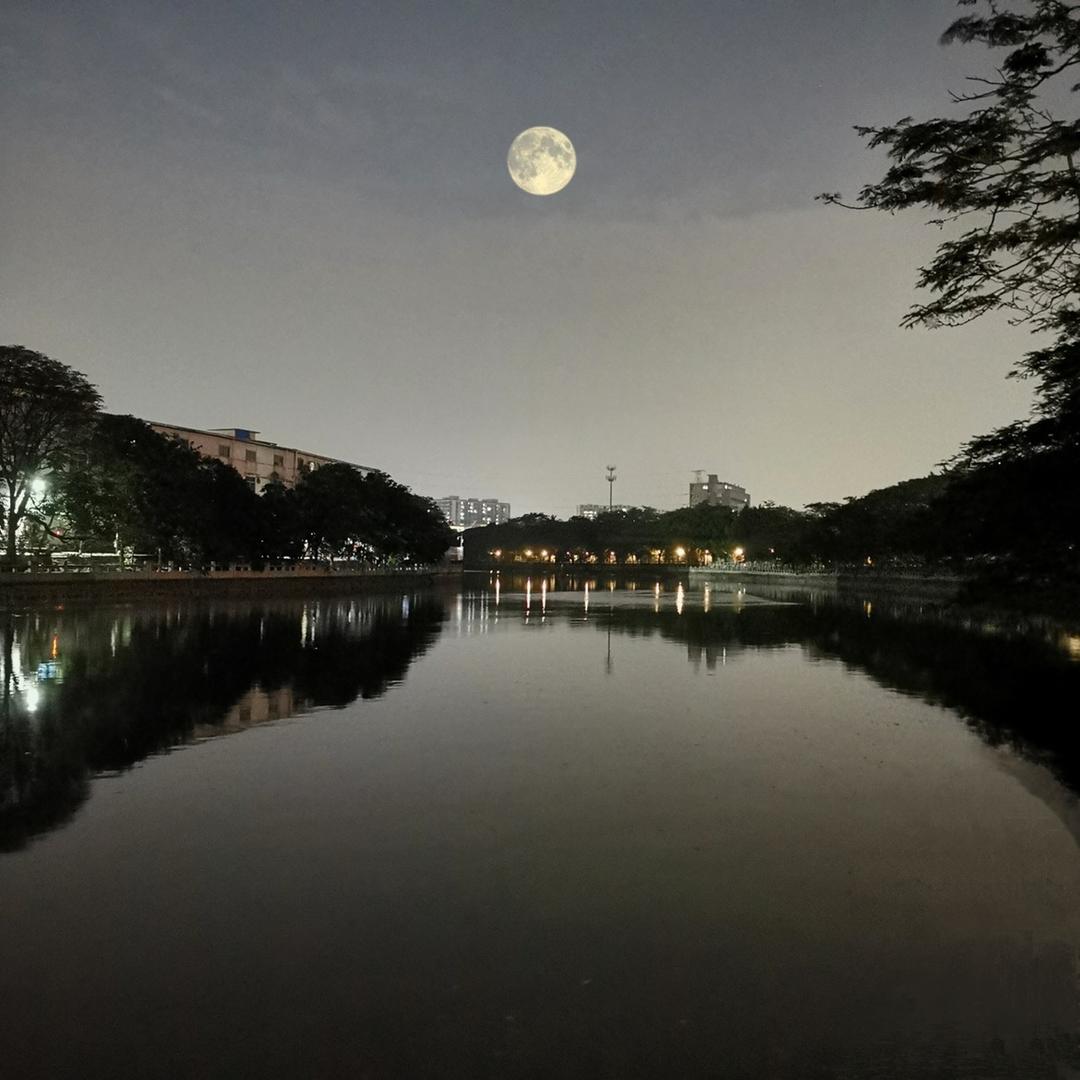 上弦月🌛