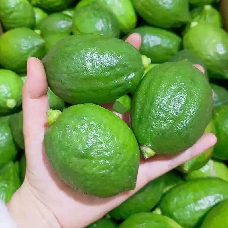 橙檬好物食光