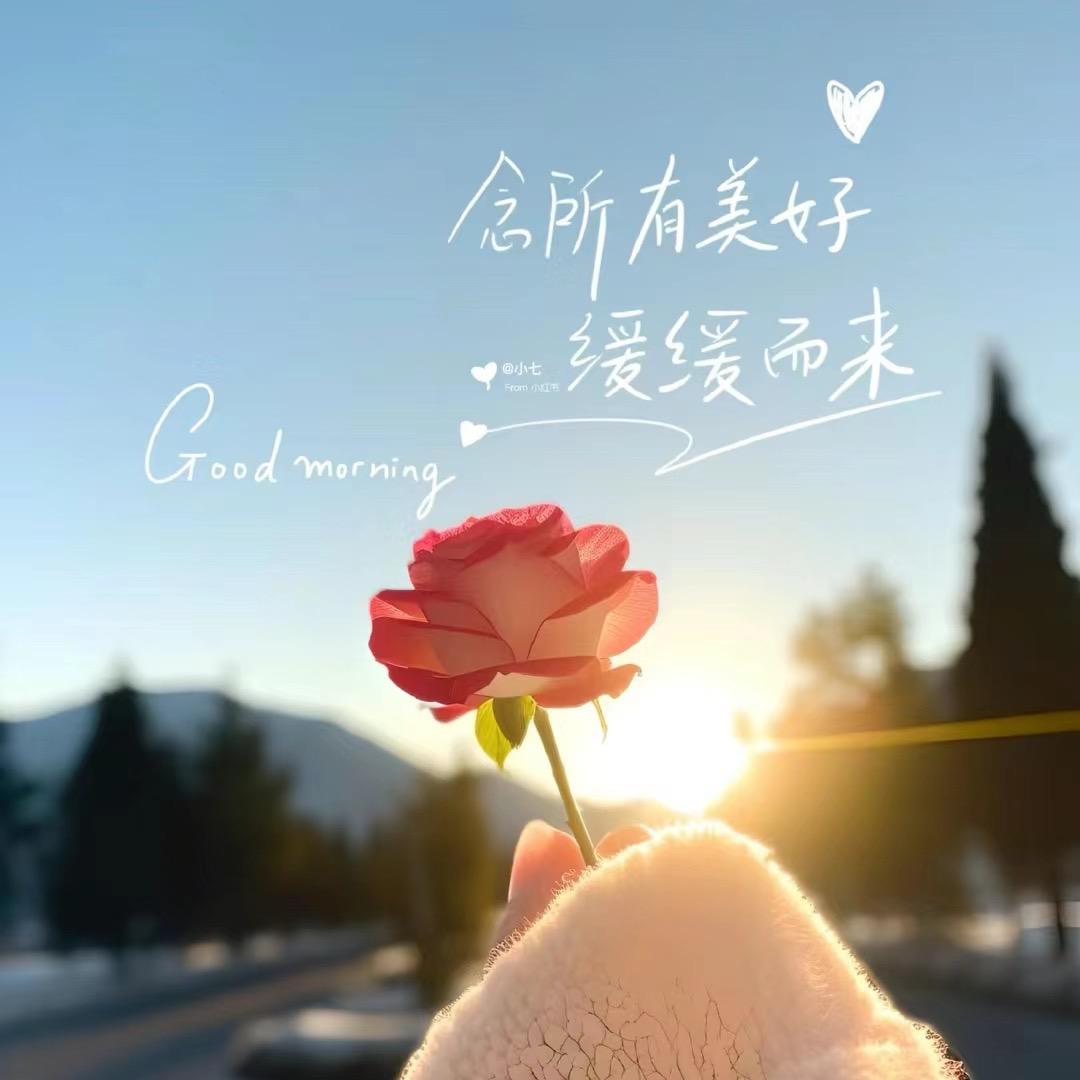✨ 舞