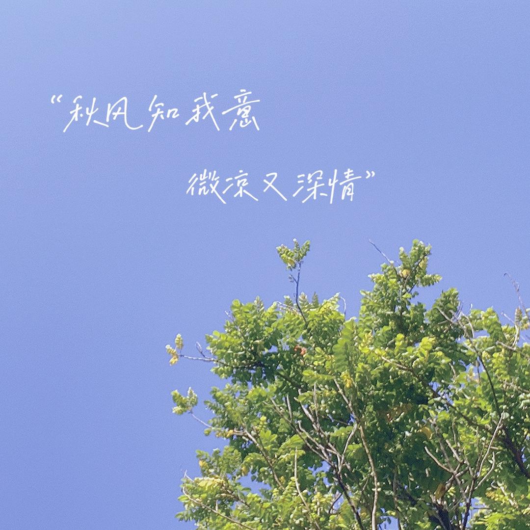 ☆逆光 . 抹茶か