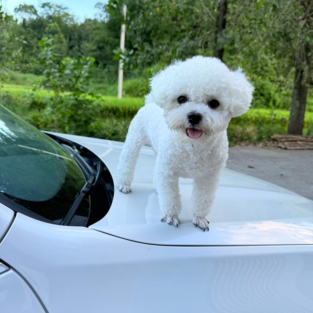 小燕子⁹²⁰⁸