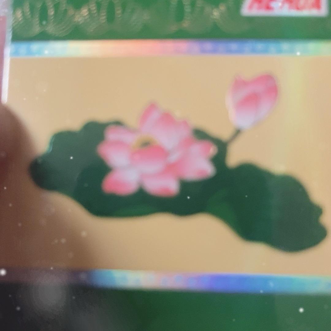 @沉默哥