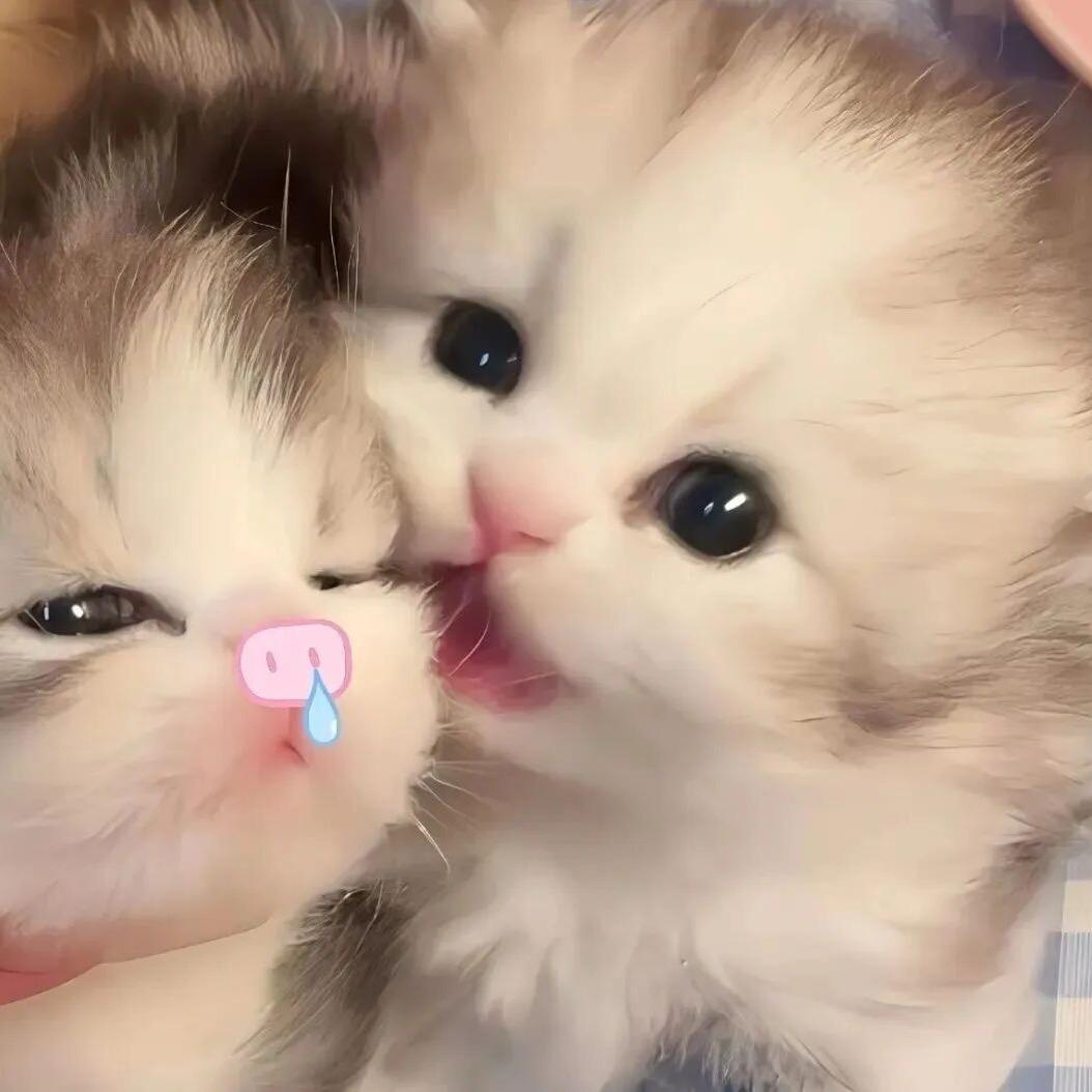 痛定思吟