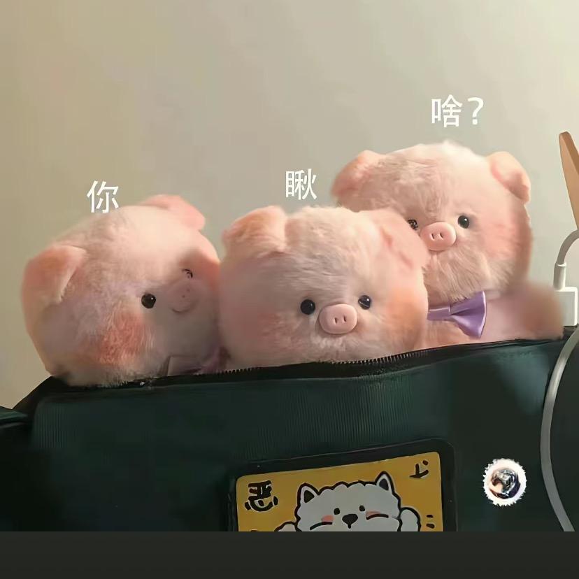 鱼小鱼🐟