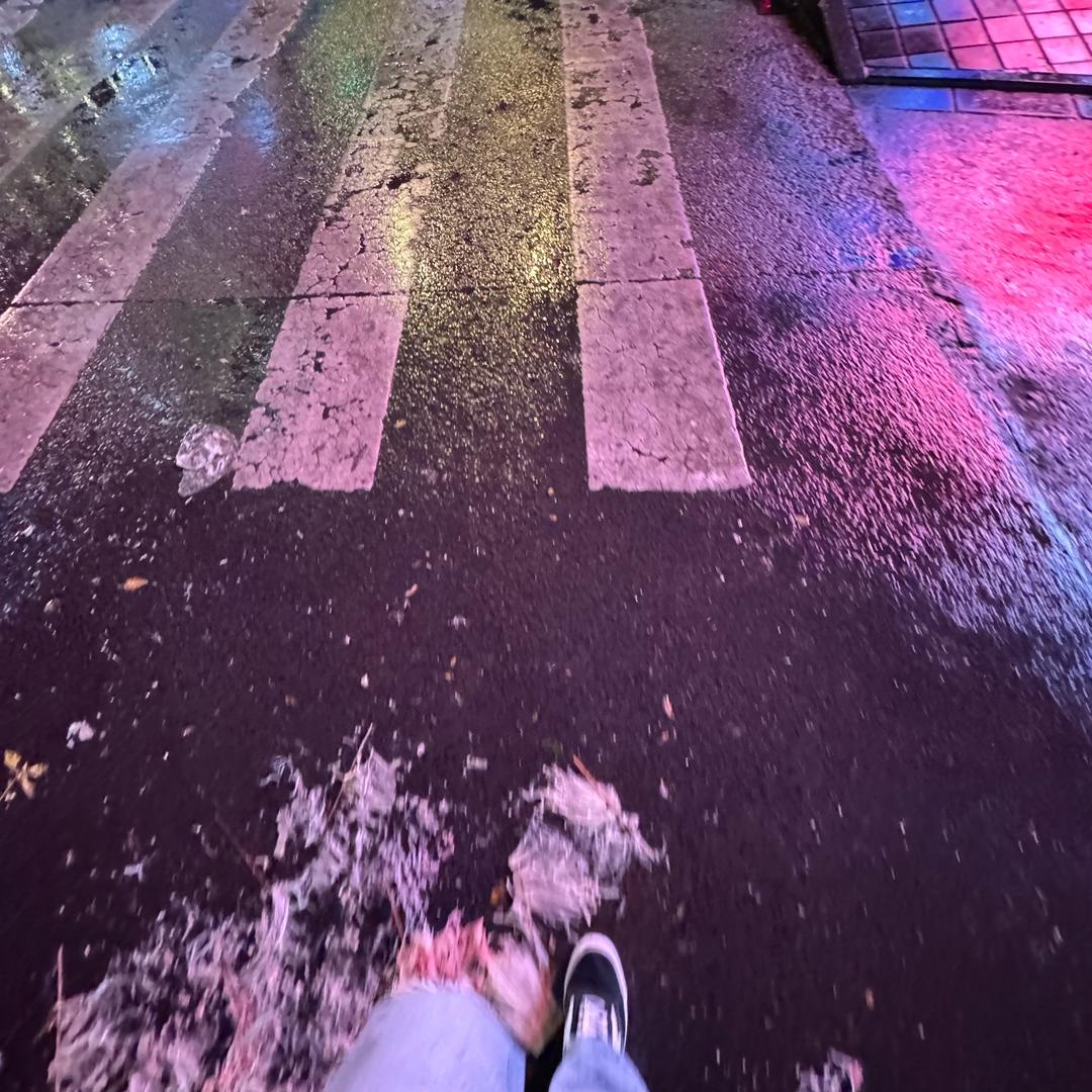 储文.