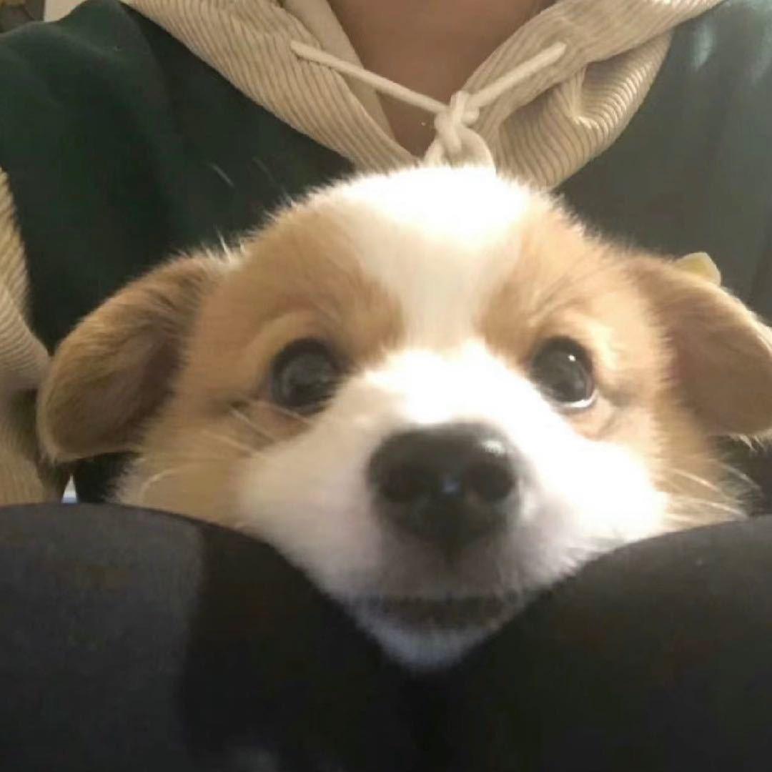 廿一