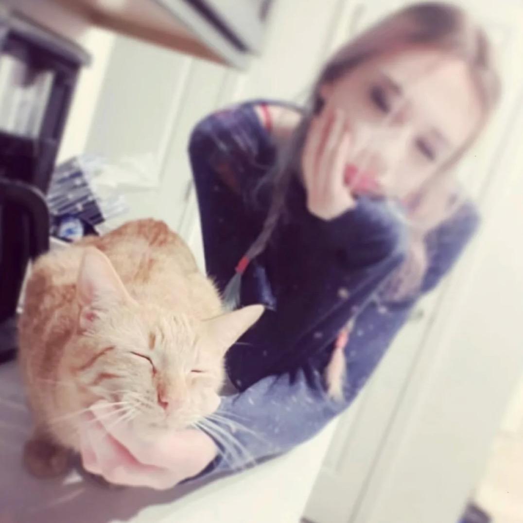 歪歪