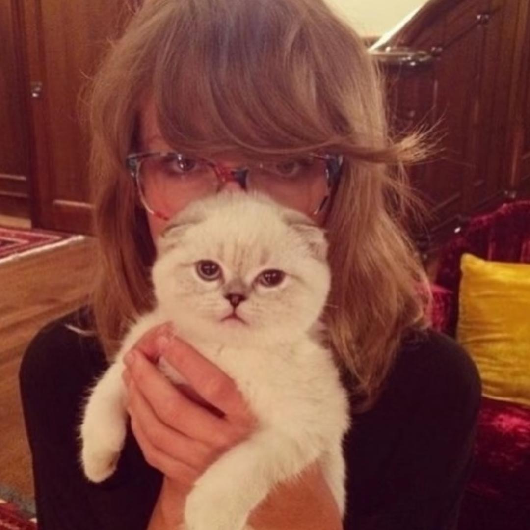 𝐙𝐌𝐆𝐋𝐗𝐂*