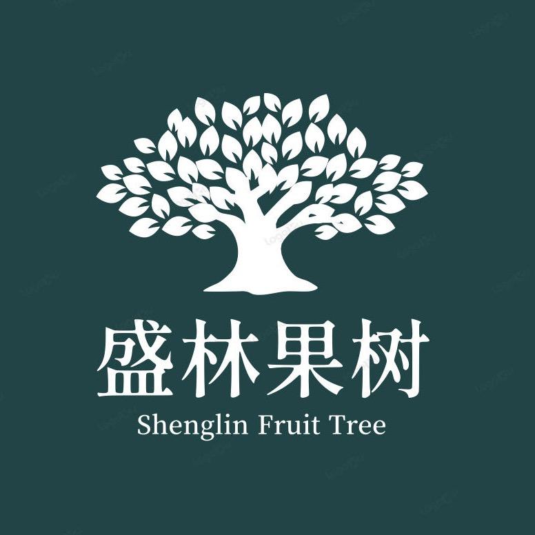 盛林果树苗木