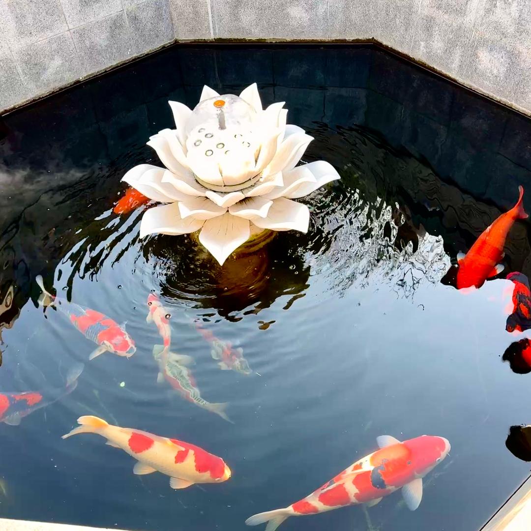 上上签7