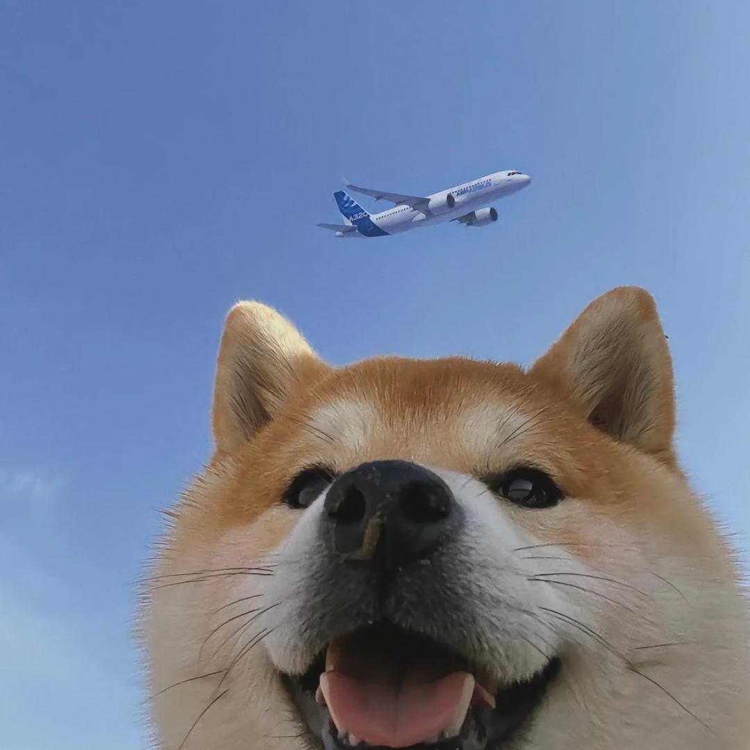 可乐就大葱2