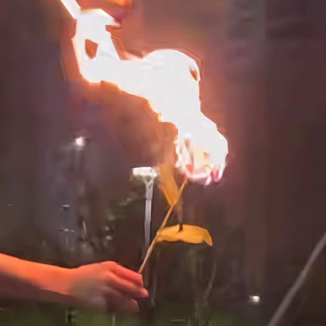 真心喂了狗