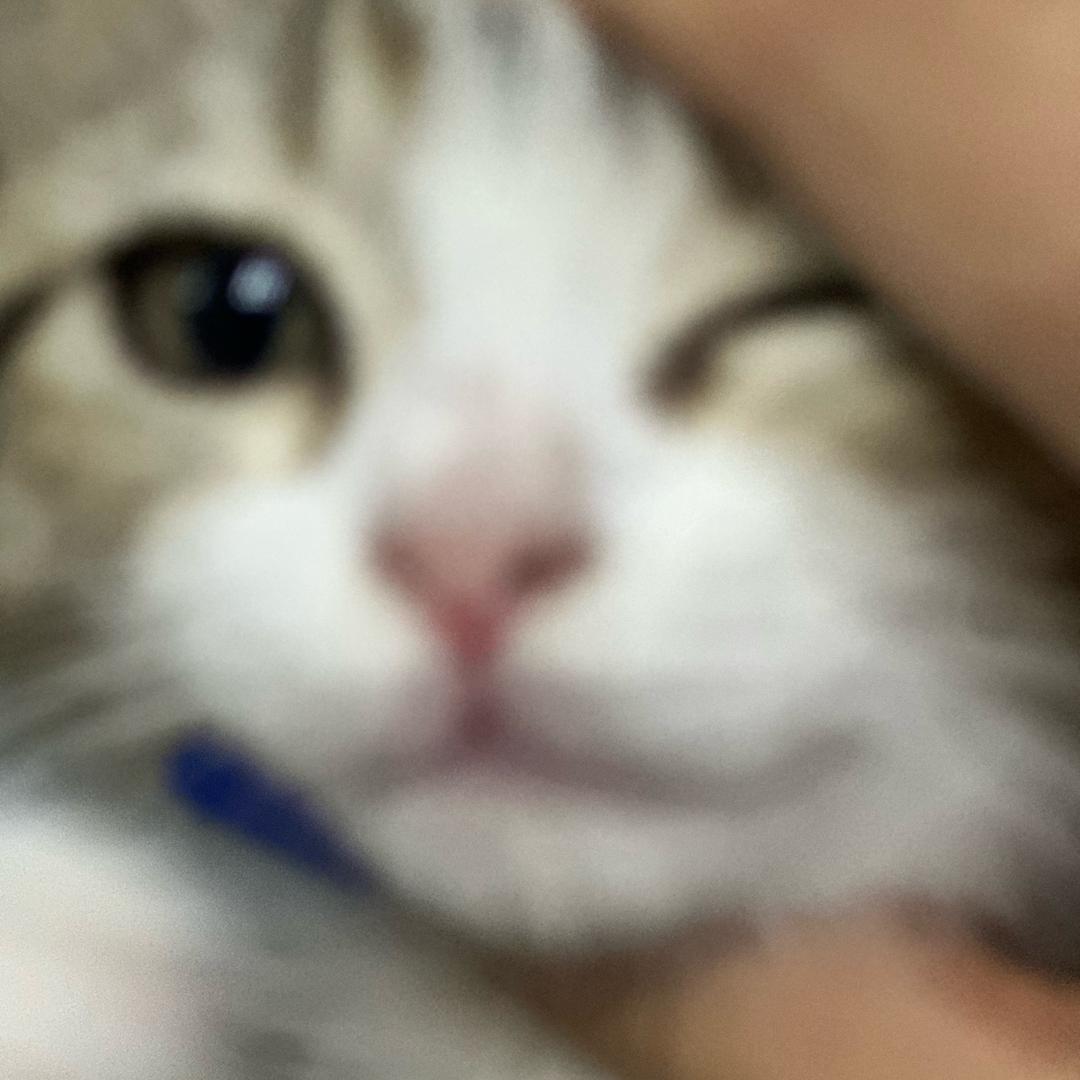汤汤.