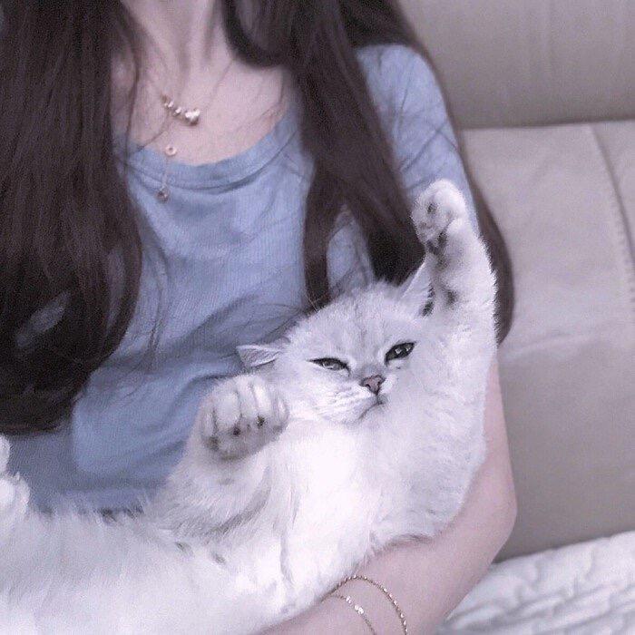 唯仔🐾