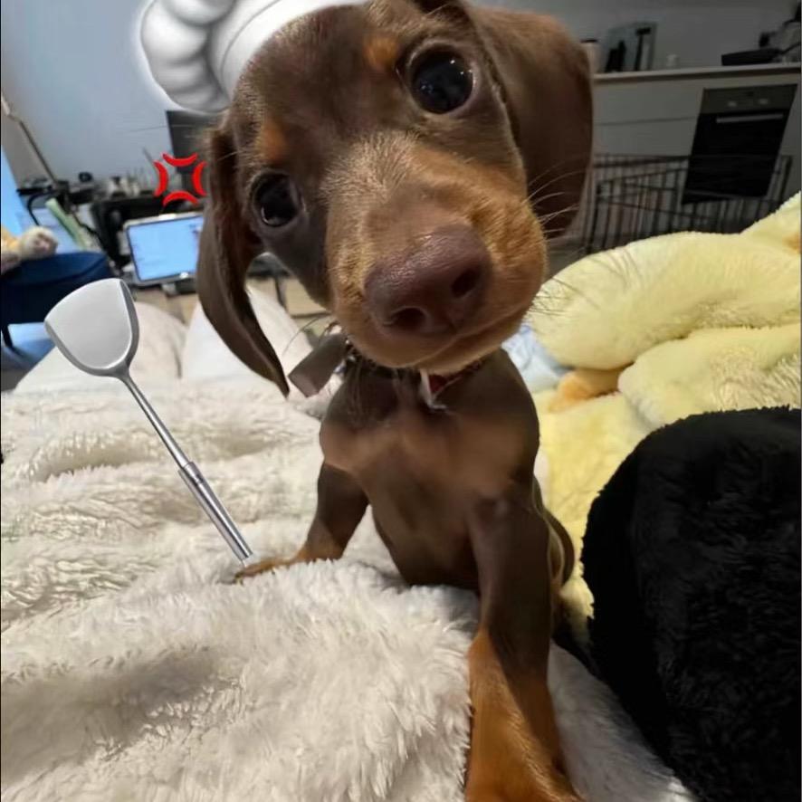 中国颜值的半壁江山