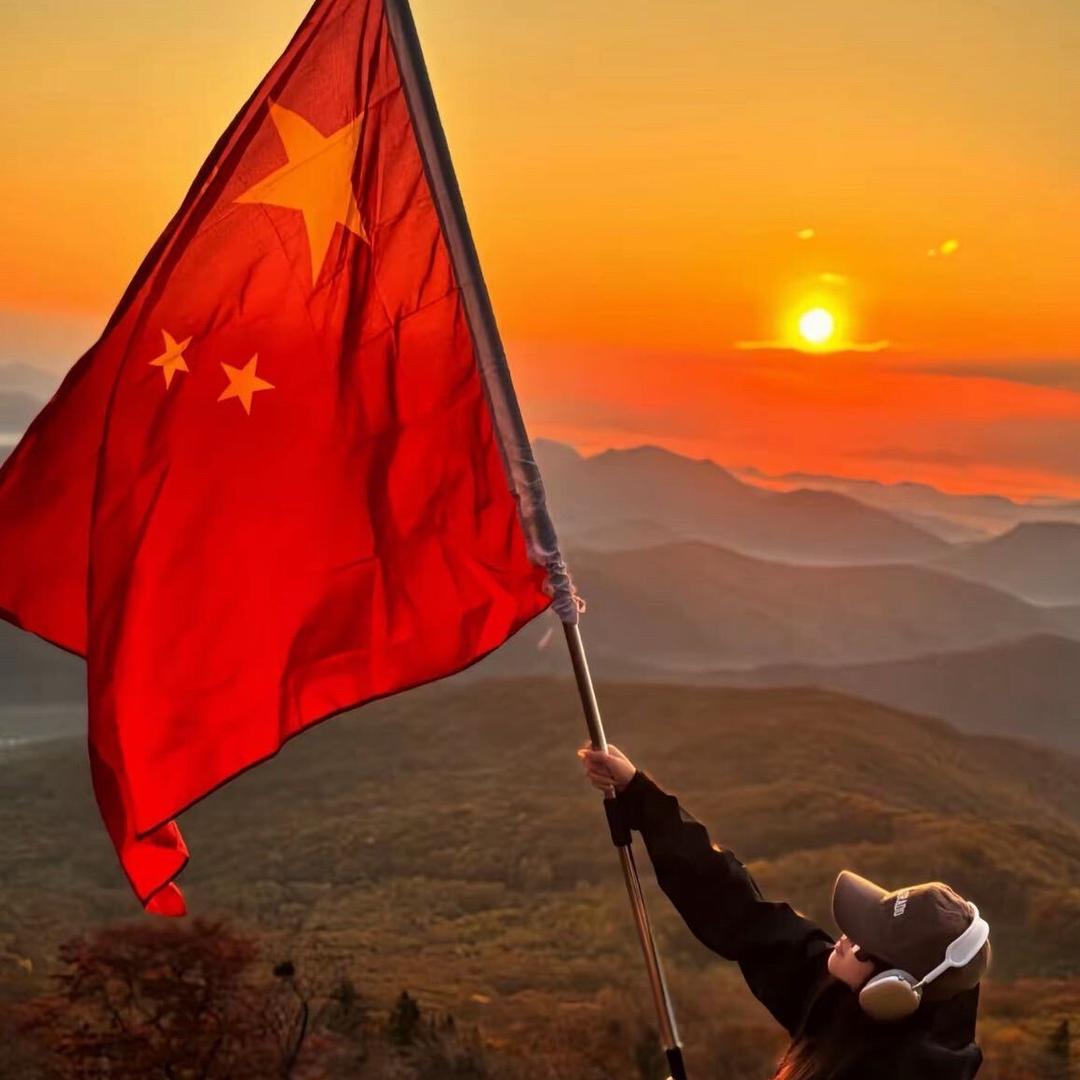 龙飞凤舞
