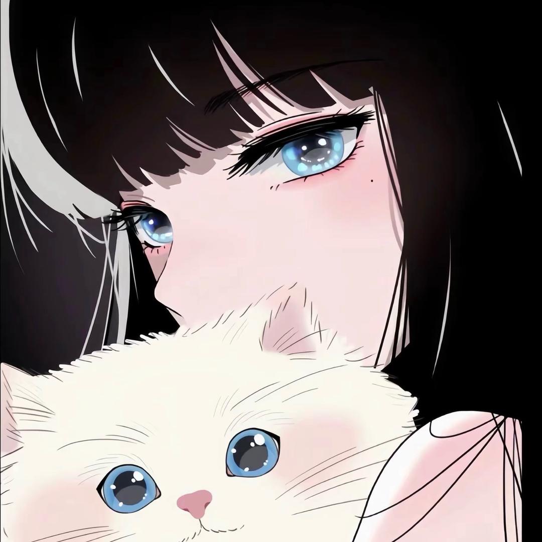 ㅤ  ㅤㅤ  ㅤㅤ  ㅤ