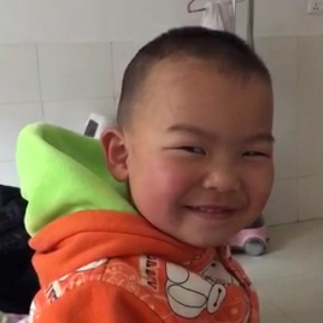 灰灰的东东