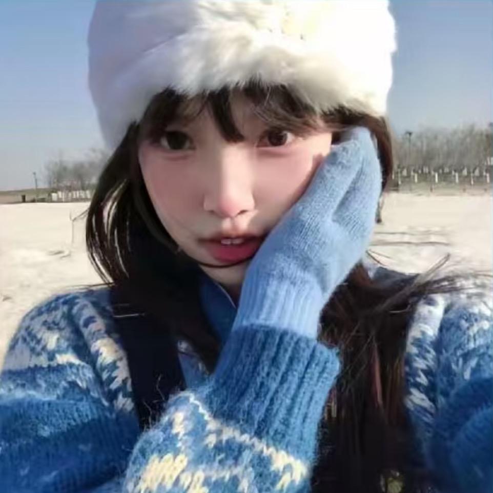 板砖.