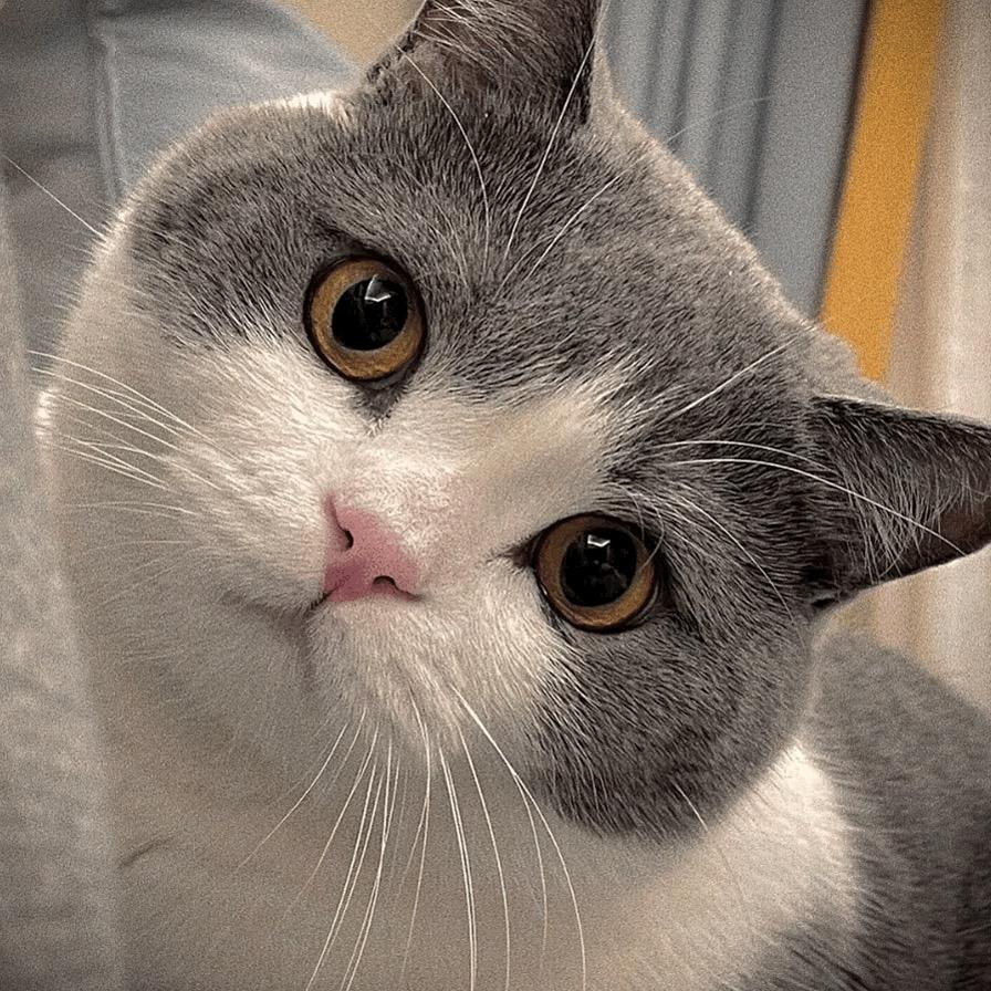  阿杰💞
