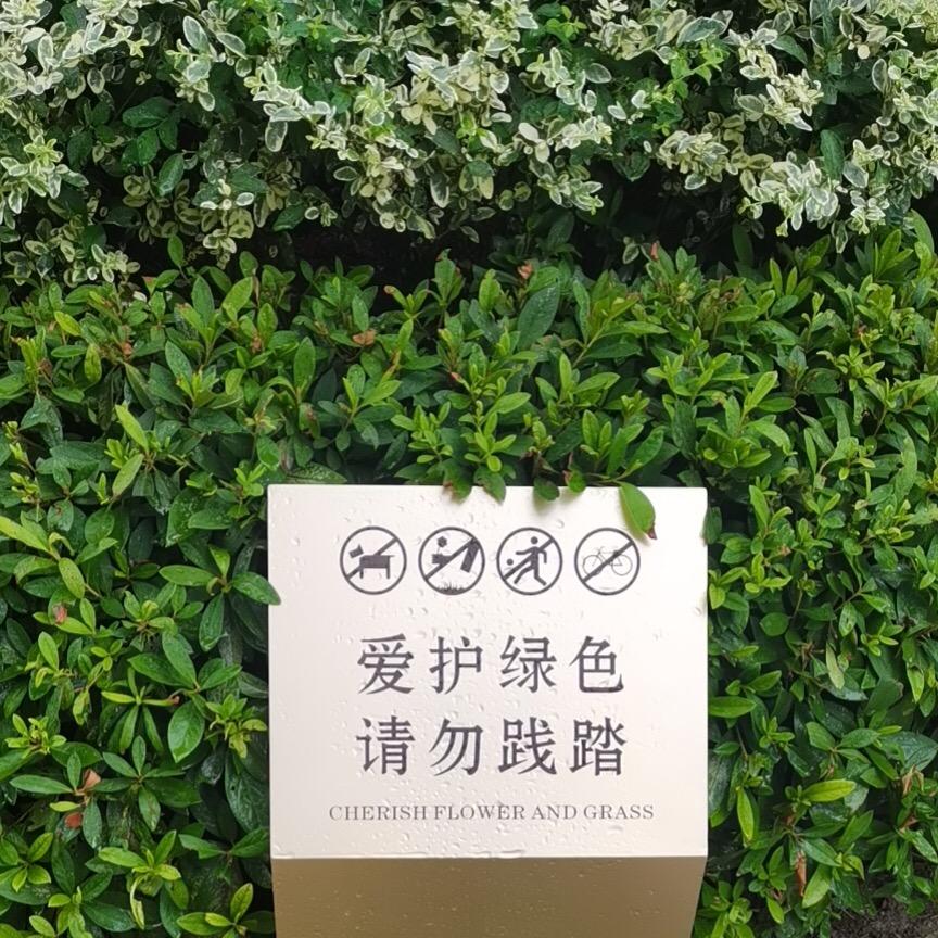 阿凯