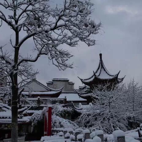 感悟