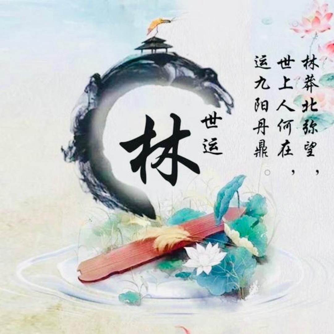 ♨️豪哥