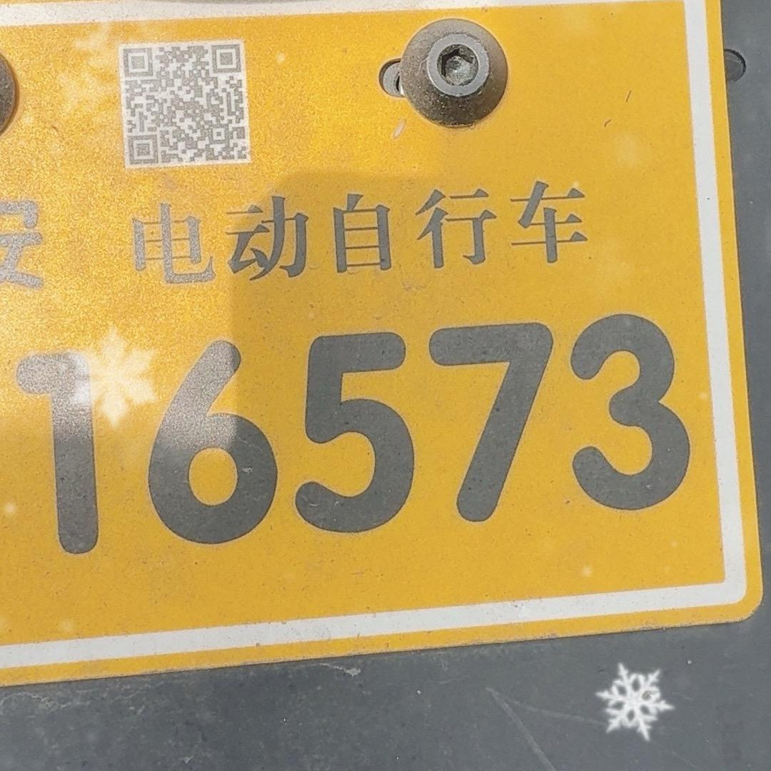 专业买卖二手电动车