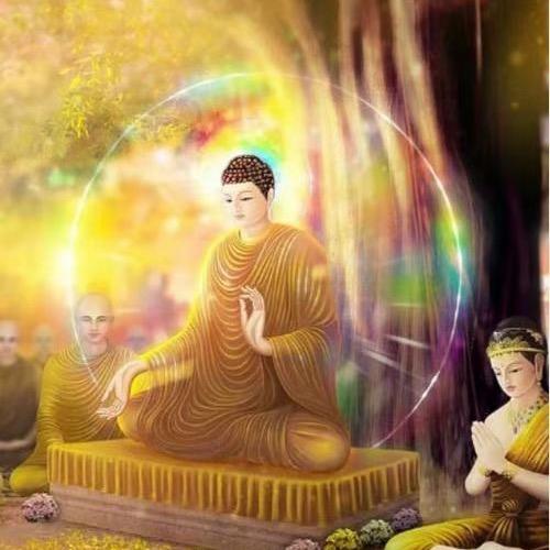随缘不是随便 是把握机缘