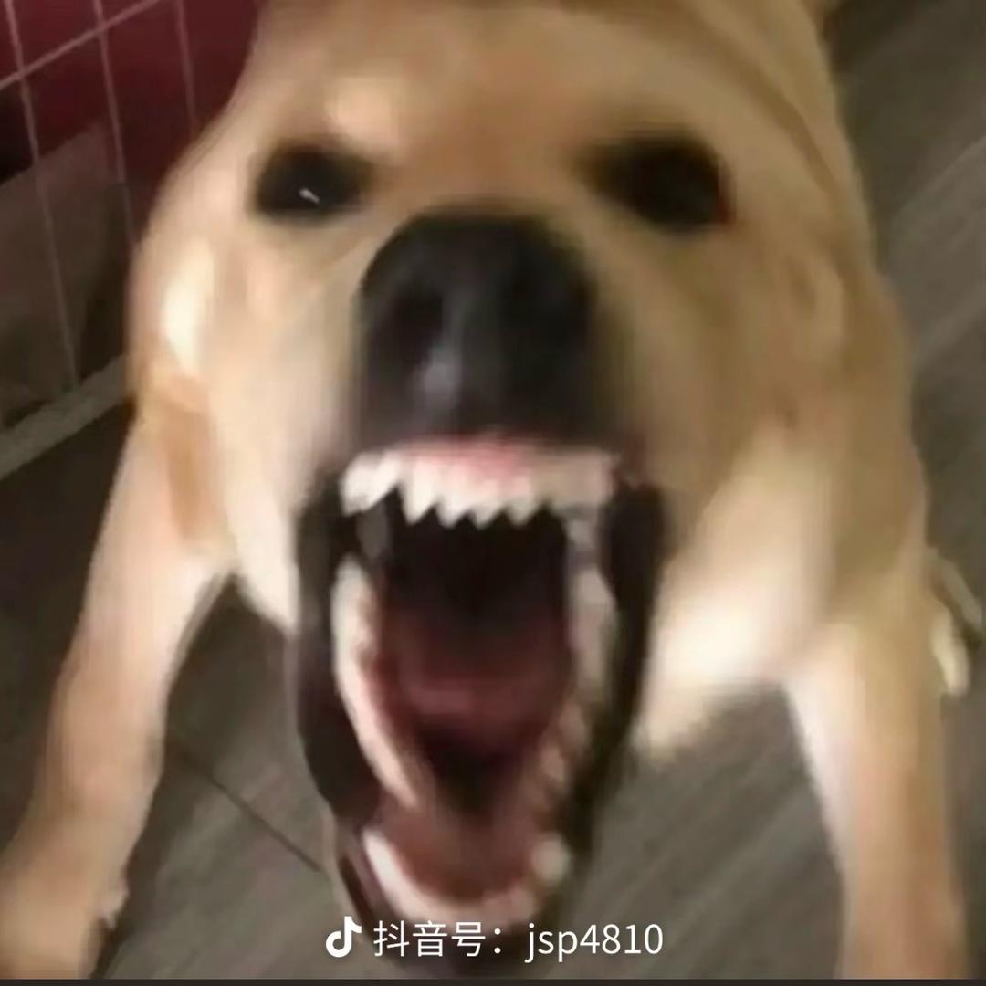 冬季