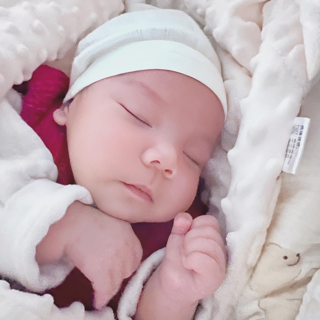 小刘一点都不乖_