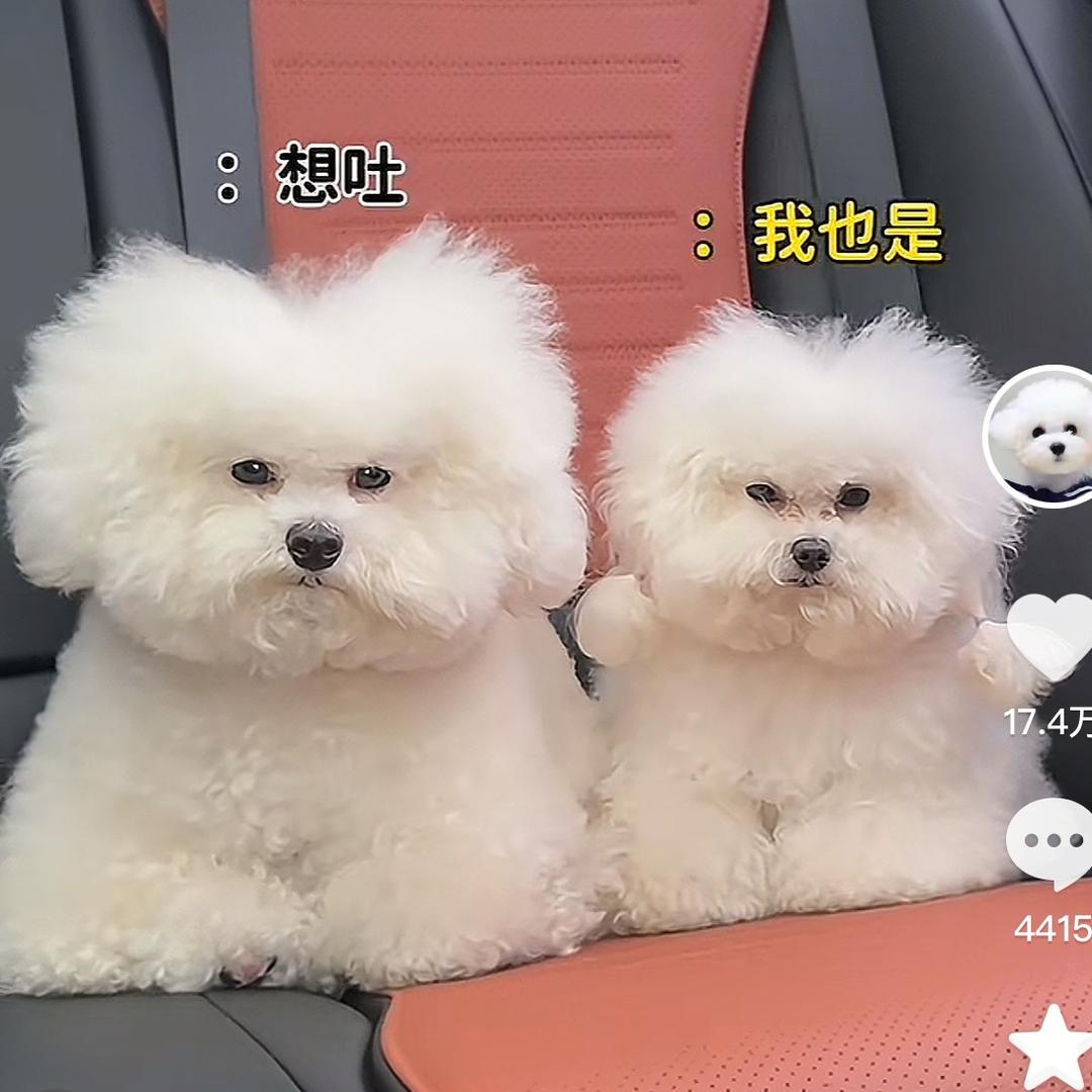 罪与爱同歌7️⃣