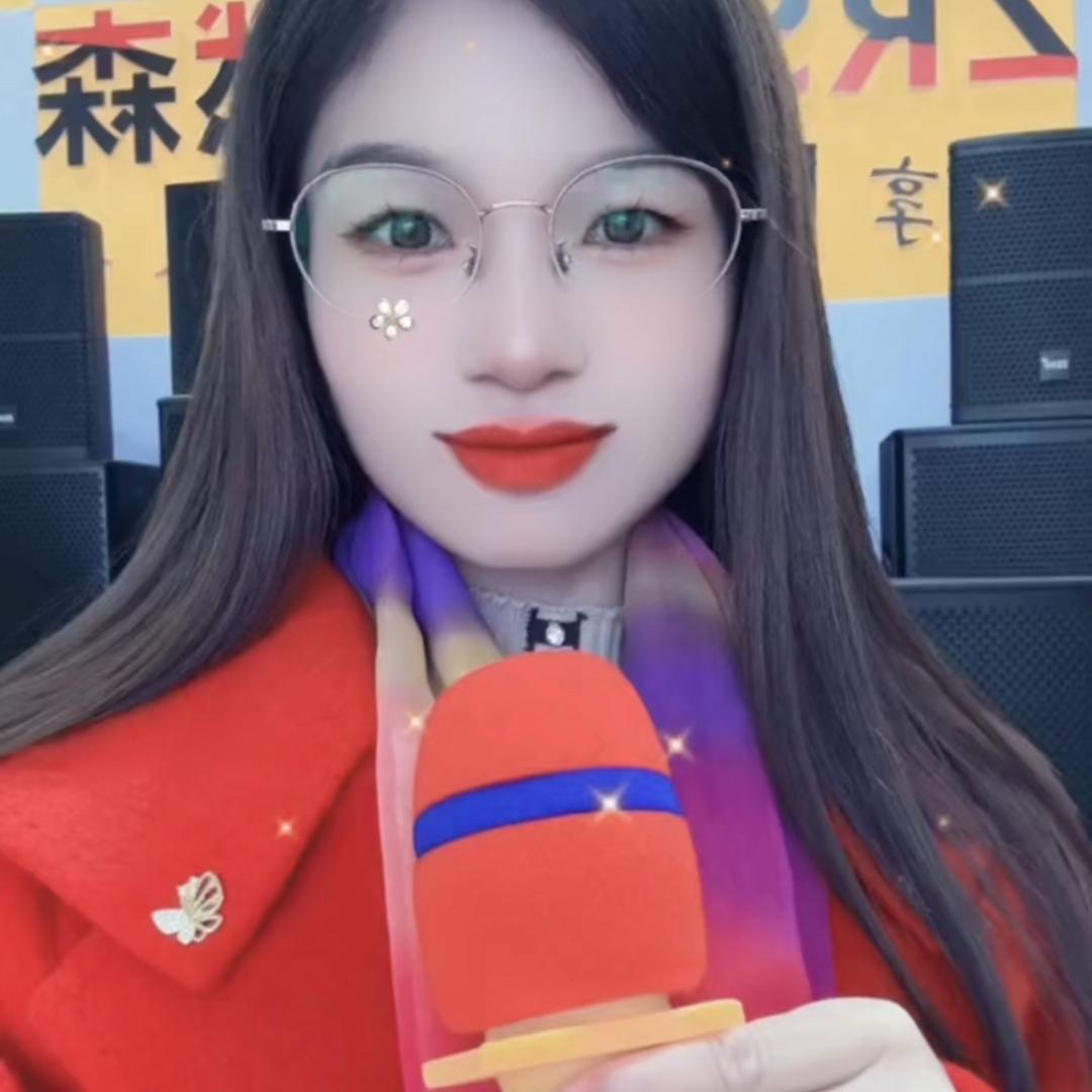 定南灵子家庭KTV音响