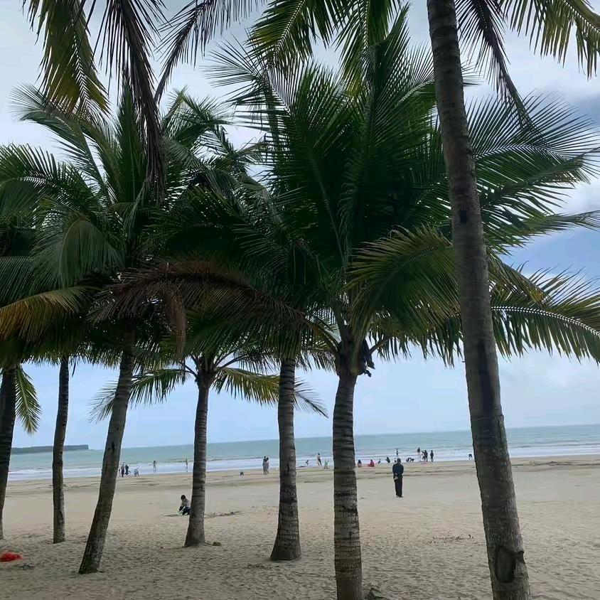 子小岭逛济南🐯131…@