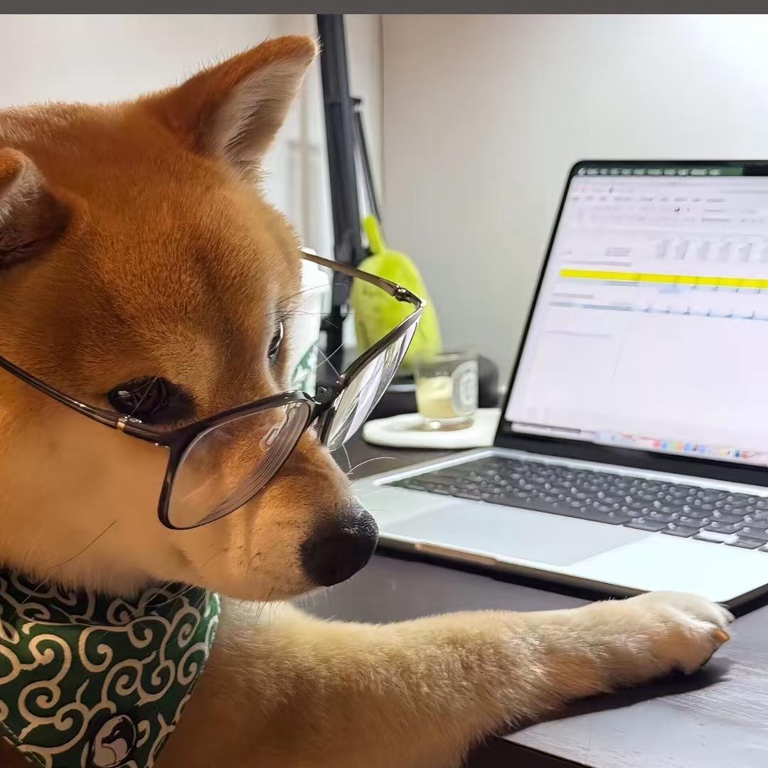筝.