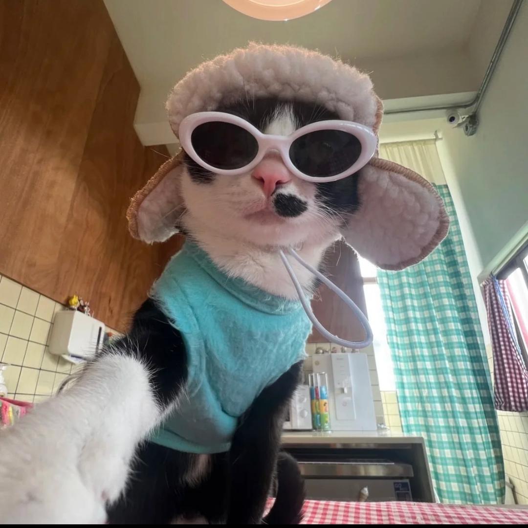 小鱼🐟.