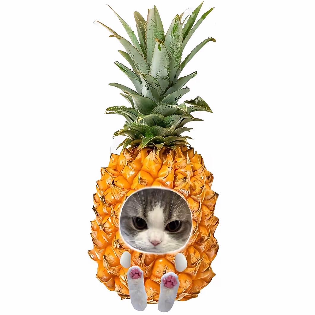 平安一生呢，哦亲